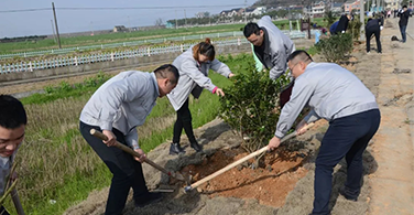 参加植树造林，保护美丽家园！